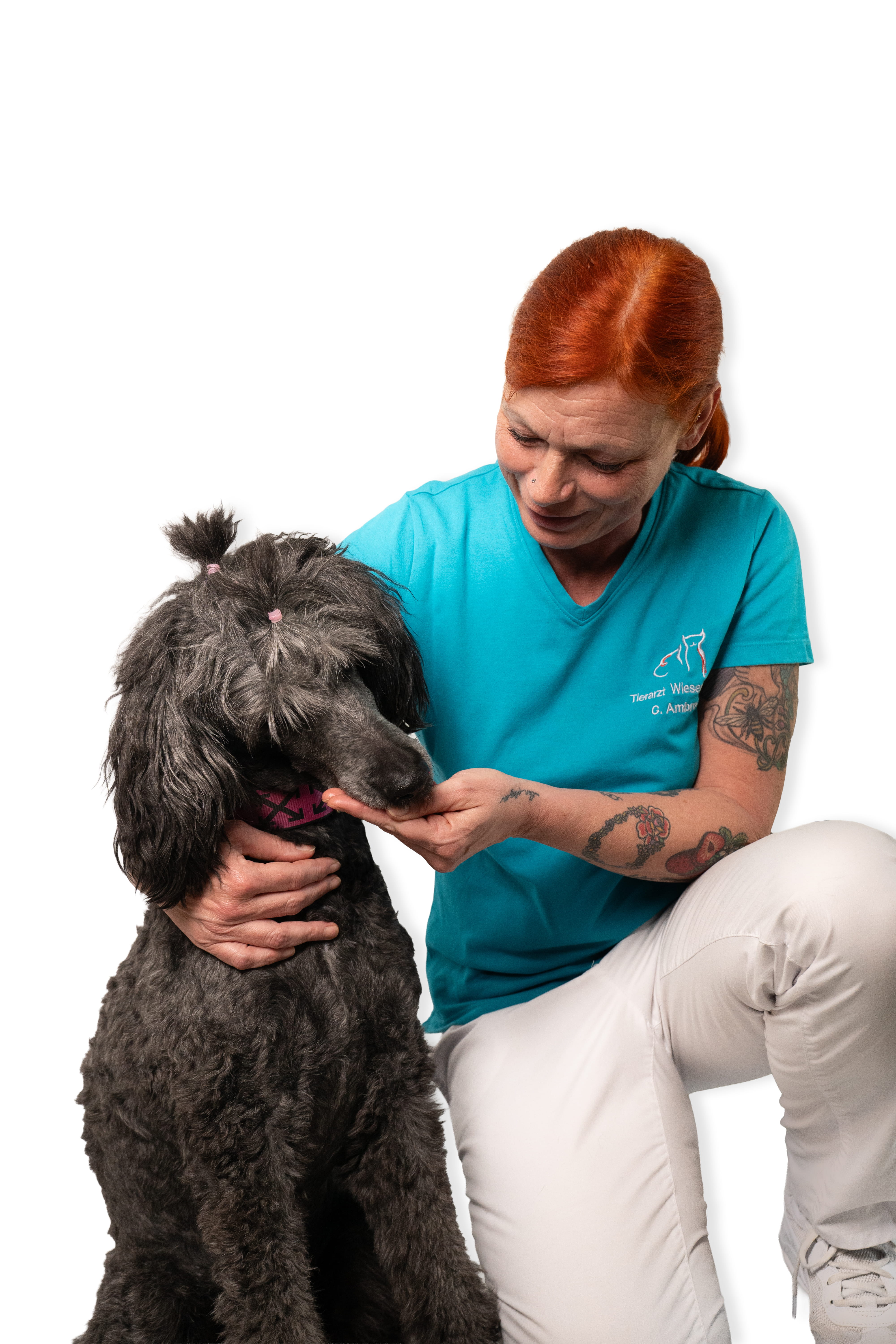 Christina Ambros – Tierärztin, Internistik
